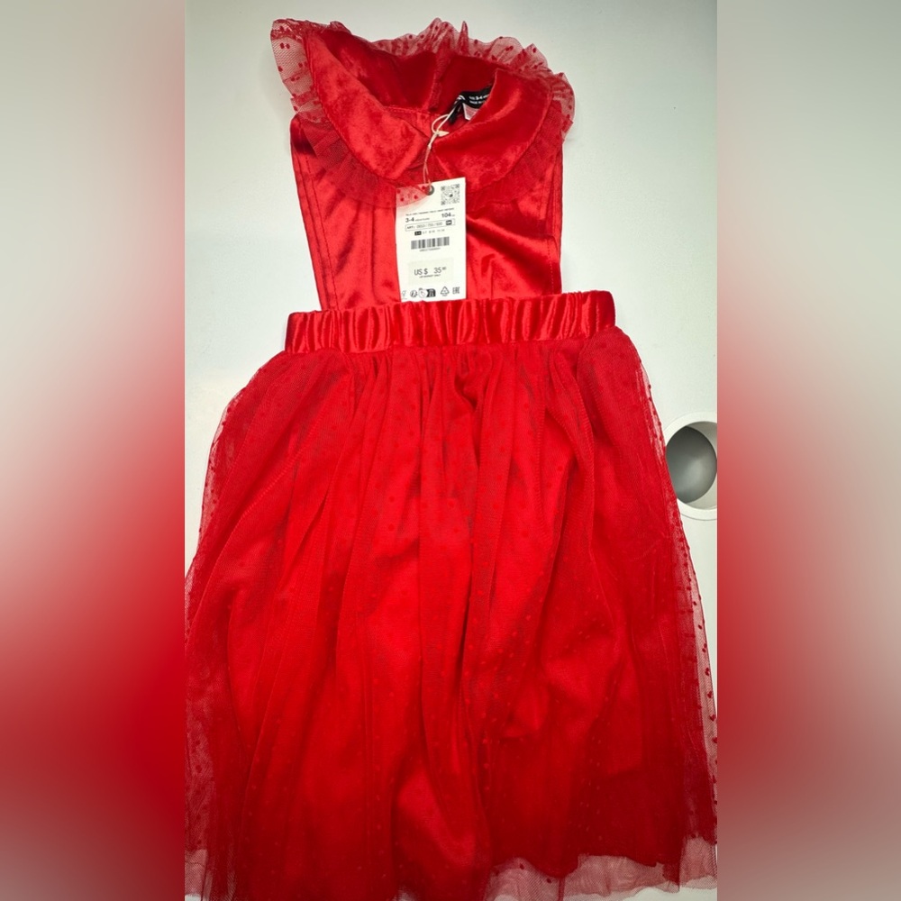 Zara dress